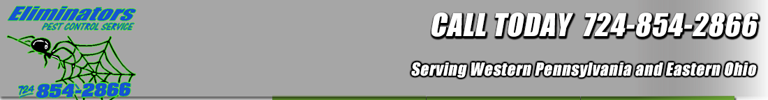 Eliminators Pest Control Home : Youngstown Exterminators, Sharon Exterminators, Hermitage Exterminators, New Castle Exterminators